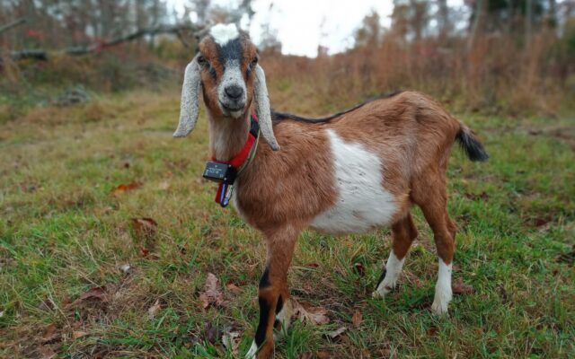 122527716_10213653089642080_6314491606152626146_n