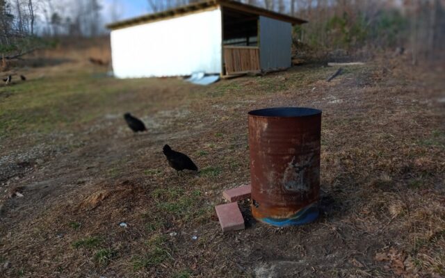 130455213_10213868678471666_3356231201003899279_n