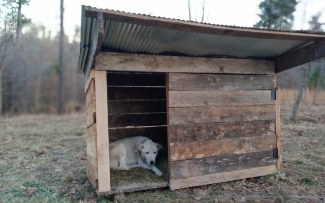 131973319_10213916590269431_3785944405067314462_n