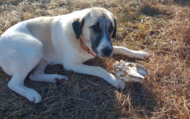 136434066_10214014214549977_7255381951109762704_n