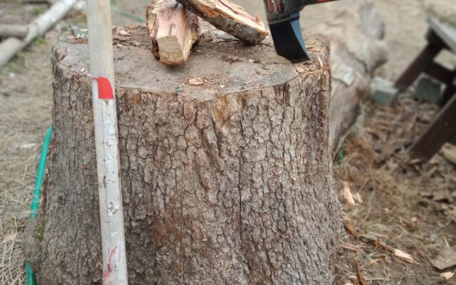 139108245_10214071028530291_7422689939655426199_n