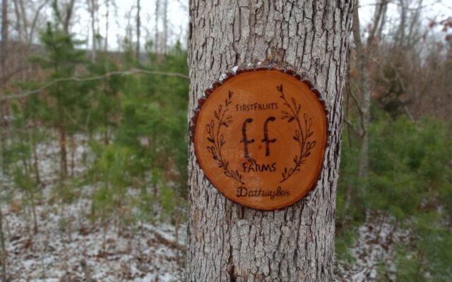 147390525_10214208775533880_2537142531245026995_n