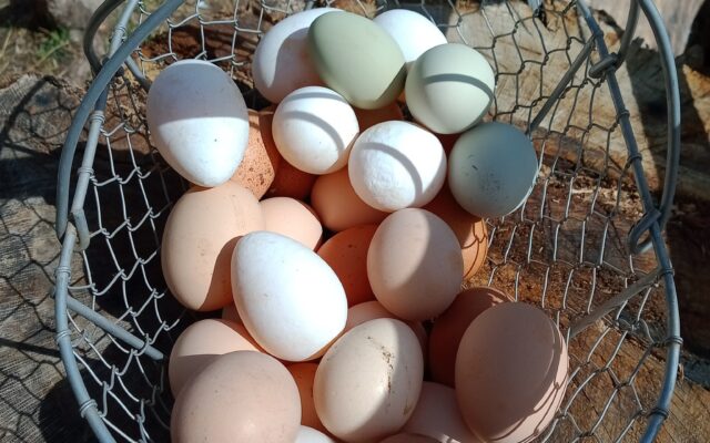 161655088_10214390740322886_7443216014655046160_n