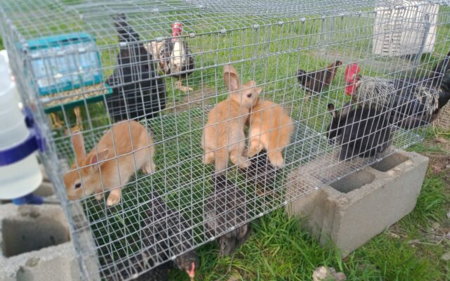 186281286_10214687757428128_3985442835784246876_n