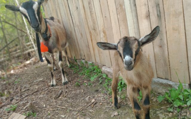 187117987_10214687755428078_4874363659493849039_n