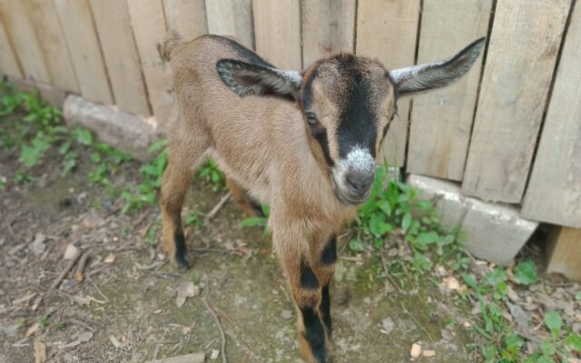 187461654_10214687758868164_2069694725566391541_n