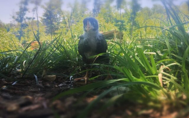 200640441_10214814611359397_6636975204724421937_n