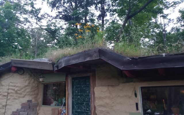 202119607_10214819503401695_18934313199333535_n