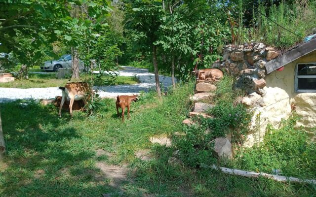 237091107_10215059610444221_4699993249550100530_n