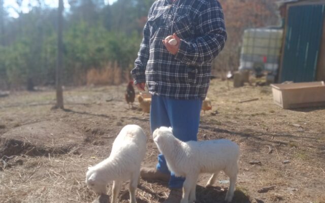 275605077_10215777058819982_2379943366340663160_n