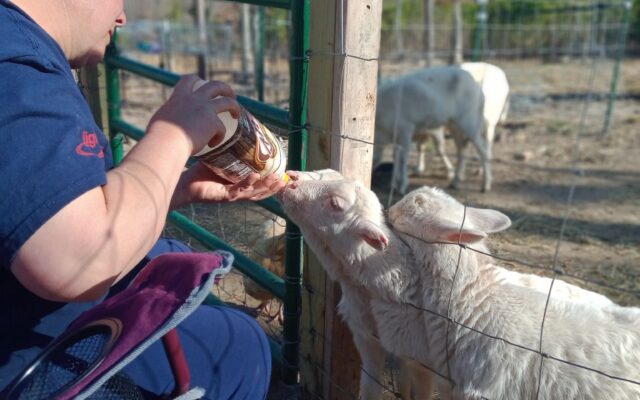 275617741_10215790138066955_5548235700012864663_n