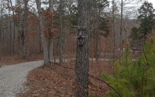 276111091_10215818983948084_3693443191718252570_n