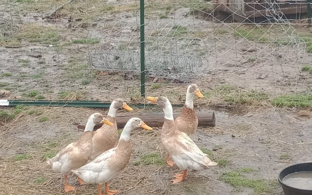 277584448_10215847284855589_7042402821061649955_n