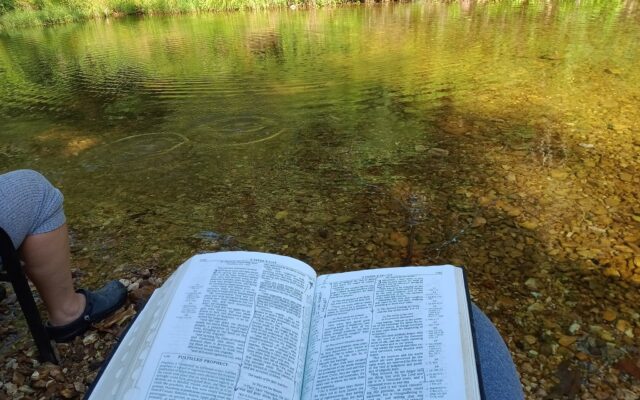 278630708_10215934806243569_6363516902074634370_n