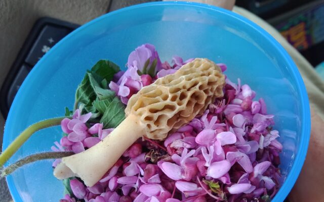 279091291_10215920398443383_2651683058357646440_n