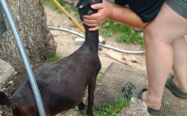 284112973_10216082078325279_8247001682234702253_n