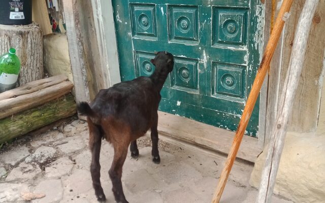 285333305_10216082078605286_1018650534026161799_n