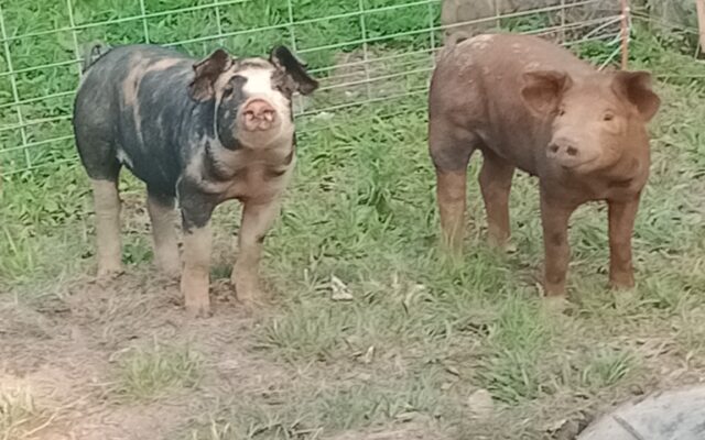 285732283_10216120006713465_8037123660608607468_n