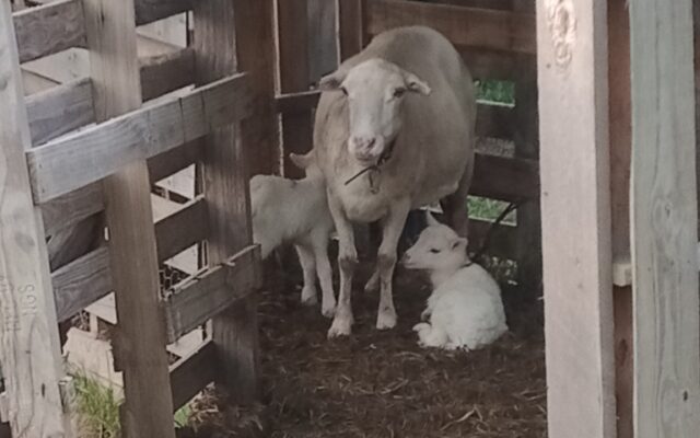 287236718_10216138081165315_1522562285822899945_n