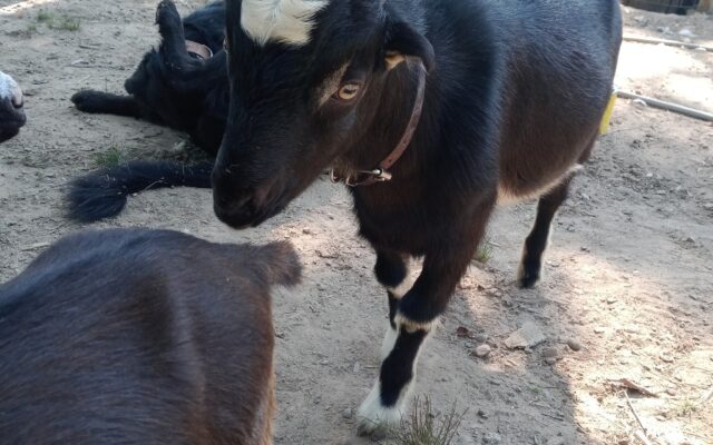 305215112_10216447808548306_5685465395458385317_n