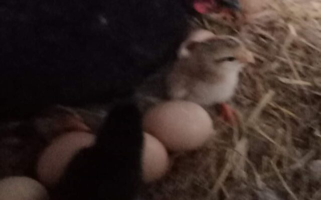 305451907_10216467639044056_4654558009868405791_n