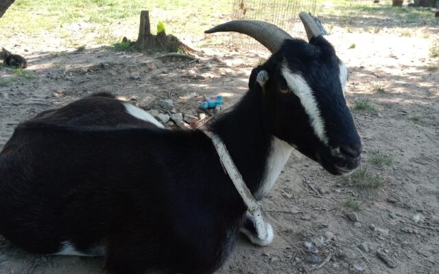 305567162_10216447808348301_6825984858077708282_n