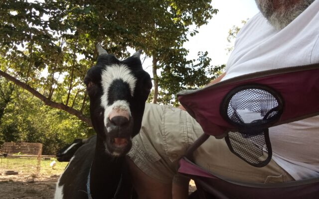 305588039_10216447808868314_6334417880461245546_n