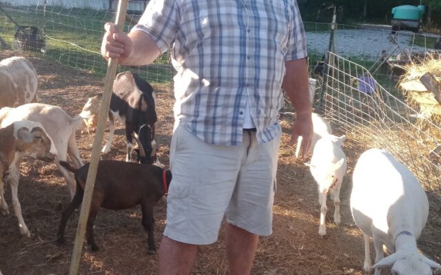 305923077_10216453260284596_2014895808377196088_n