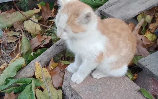 312568907_10216701052919257_1862077592306554345_n