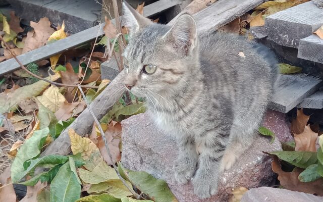 312595705_10216701048679151_4433224677680681440_n