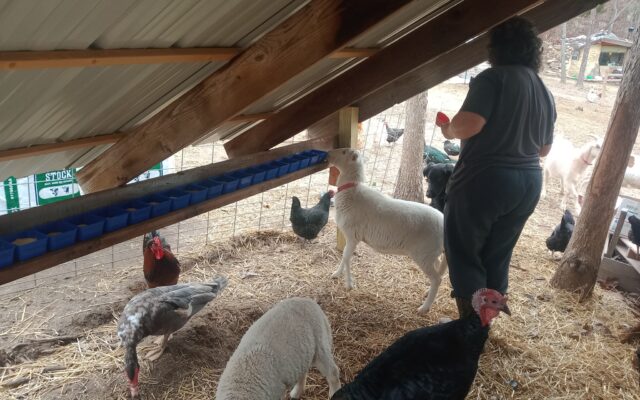 324086017_551729246884342_4464569986348743759_n